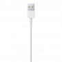 Câble Apple Original Lightning iPhone 5 5S 5C 6 6S 7 8 X iPad iPod (sans boite)