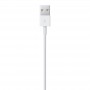 Geniune Apple Lightning Cable for iPhone 5 5C 5S 6 6S 7 8 X iPad iPod without Retail Box