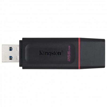 Kingston 256GB 3.2 USB DataTraveler Exodia Flash Drive